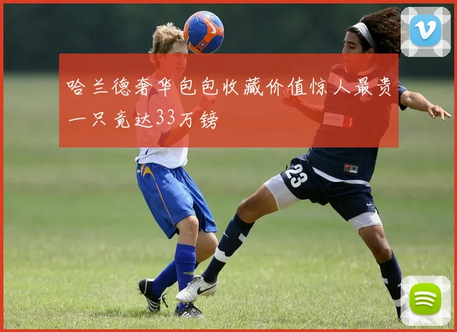 哈兰德奢华包包收藏价值惊人最贵一只竟达33万镑