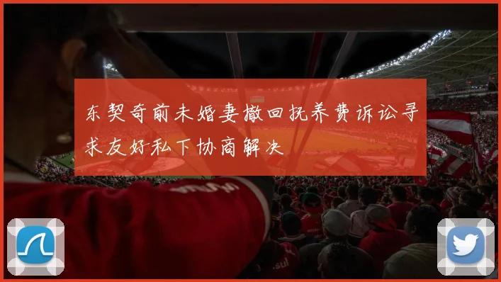东契奇前未婚妻撤回抚养费诉讼寻求友好私下协商解决